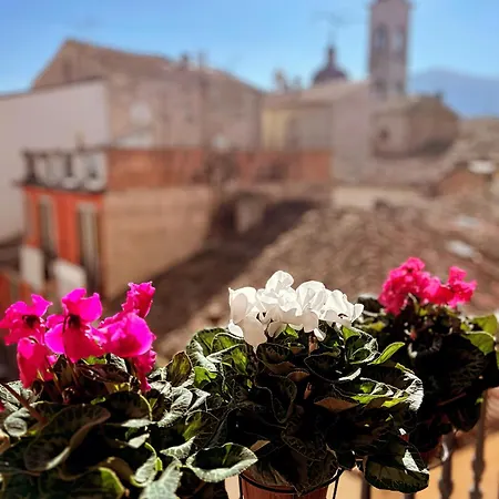 Lägenhet Regina D'aragona *